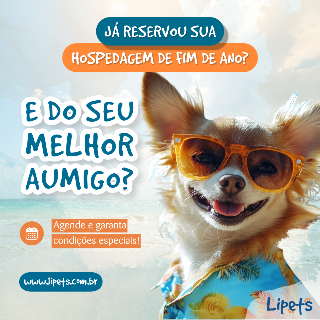 FIM DE ANO